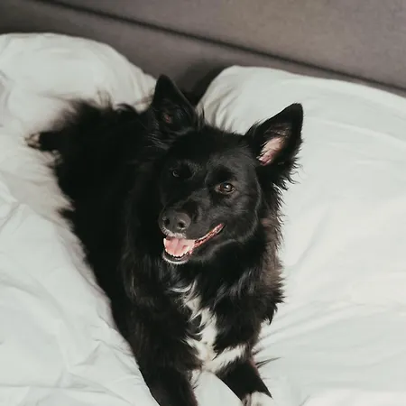 Puro Stare Отель