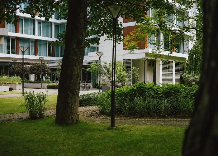 Puro Stare فروتسواف